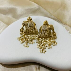 Eshaanvi Dangler Earrings